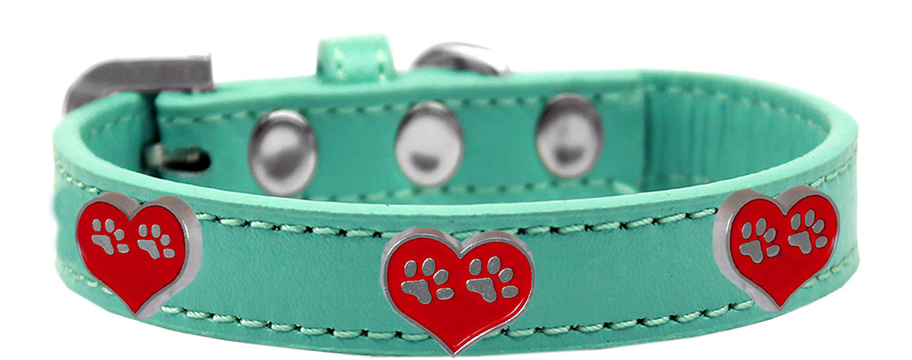 Paw Heart Widget Dog Collar Aqua Size 10